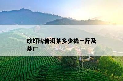 珍好牌普洱茶多少钱一斤及茶厂