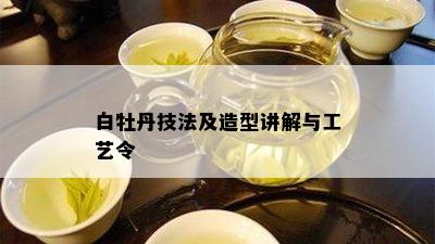 白牡丹技法及造型讲解与工艺令