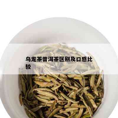 乌龙茶普洱茶区别及口感比较