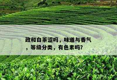 政和白茶涩吗，味道与香气，等级分类，有色素吗？