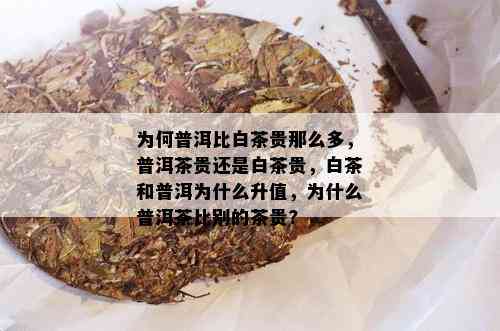 为何普洱比白茶贵那么多，普洱茶贵还是白茶贵，白茶和普洱为什么升值，为什么普洱茶比别的茶贵?