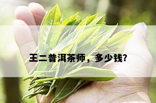 王二普洱茶师，多少钱？