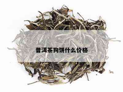 普洱茶狗饼什么价格