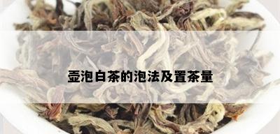 壶泡白茶的泡法及置茶量