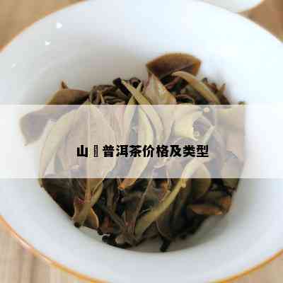 山語普洱茶价格及类型