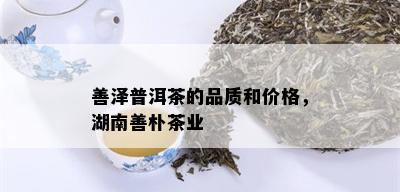 善泽普洱茶的品质和价格，湖南善朴茶业