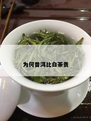 为何普洱比白茶贵