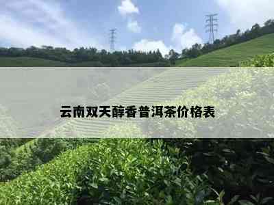 云南双天醇香普洱茶价格表