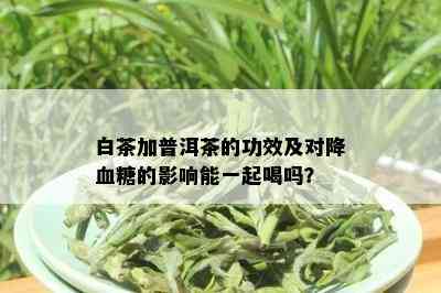 白茶加普洱茶的功效及对降血糖的影响能一起喝吗？