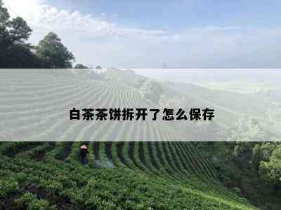 白茶茶饼拆开了怎么保存