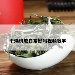 干燥机放白茶好吗视频教学