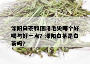 溧阳白茶和信阳毛尖哪个好喝与好一点？溧阳白茶是白茶吗？