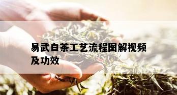 易武白茶工艺流程图解视频及功效