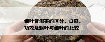 细叶普洱茶的区分、口感、功效及粗叶与细叶的比较