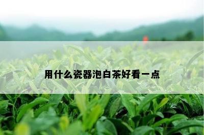 用什么瓷器泡白茶好看一点