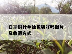 白毫银针单独包装好吗图片及收藏方式