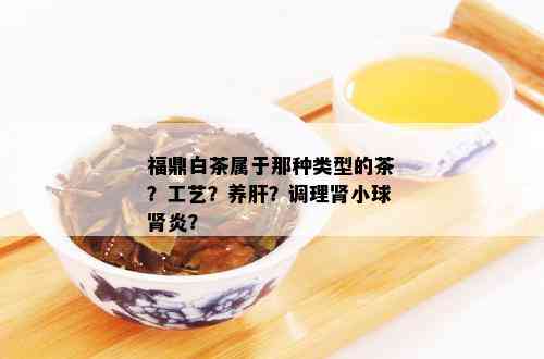 福鼎白茶属于那种类型的茶？工艺？养肝？调理肾小球肾炎？