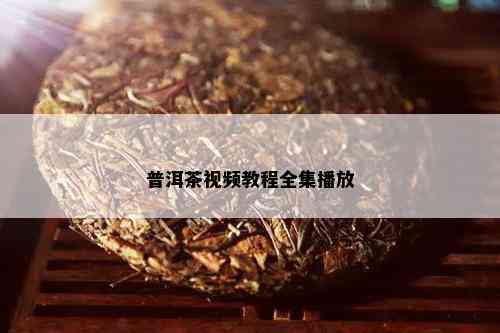 普洱茶视频教程全集播放