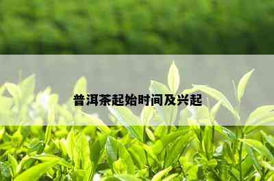 普洱茶起始时间及兴起