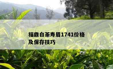 福鼎白茶寿眉1741价格及保存技巧