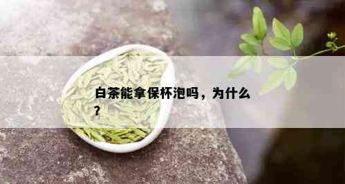 白茶能拿保杯泡吗，为什么？