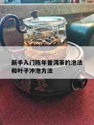 新手入门陈年普洱茶的泡法和叶子冲泡方法