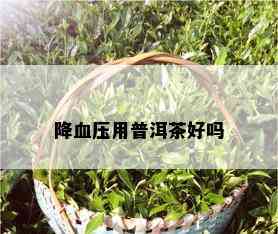 降血压用普洱茶好吗