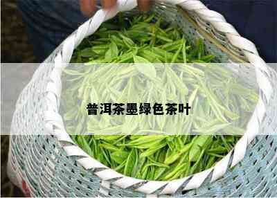 普洱茶墨绿色茶叶