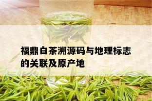 福鼎白茶溯源码与地理标志的关联及原产地