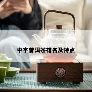 中字普洱茶排名及特点