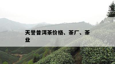 天誉普洱茶价格、茶厂、茶业