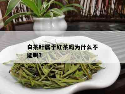 白茶叶属于红茶吗为什么不能喝？