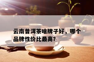 云南普洱茶啥牌子好，哪个品牌性价比更高？