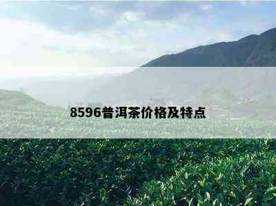 8596普洱茶价格及特点