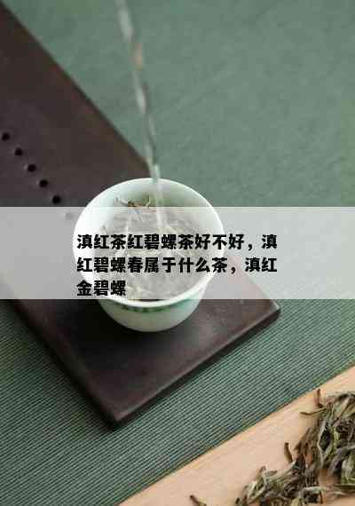 滇红茶红碧螺茶好不好，滇红碧螺春属于什么茶，滇红金碧螺