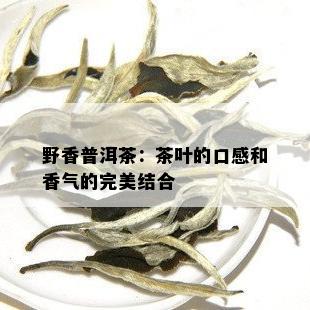 野香普洱茶：茶叶的口感和香气的完美结合