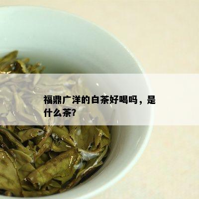 福鼎广洋的白茶好喝吗，是什么茶？