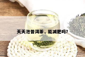 天天泡普洱茶，能减肥吗？