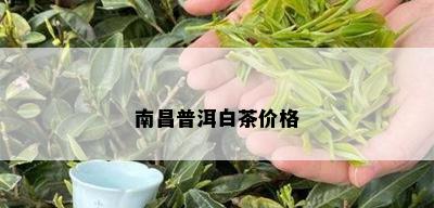 南昌普洱白茶价格