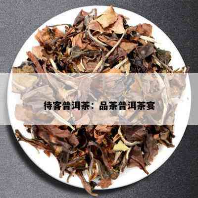 待客普洱茶：品茶普洱茶宴