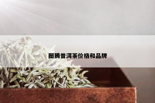 图腾普洱茶价格和品牌