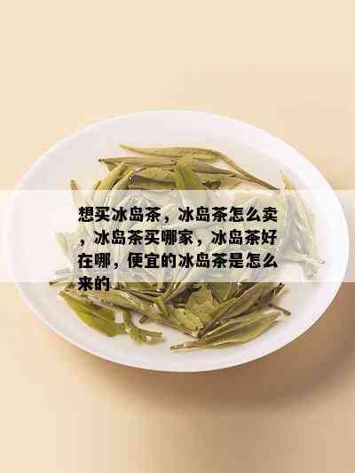 想买冰岛茶，冰岛茶怎么卖，冰岛茶买哪家，冰岛茶好在哪，便宜的冰岛茶是怎么来的