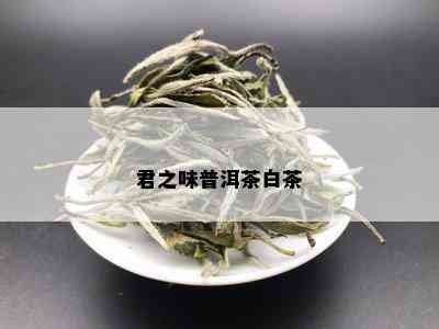 君之味普洱茶白茶