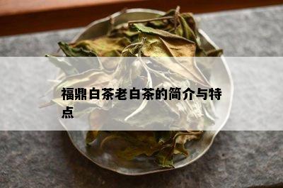 福鼎白茶老白茶的简介与特点