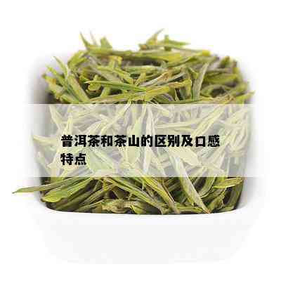 普洱茶和茶山的区别及口感特点