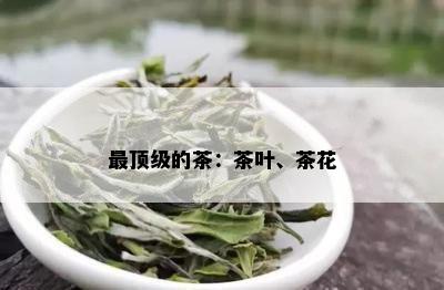 最顶级的茶：茶叶、茶花