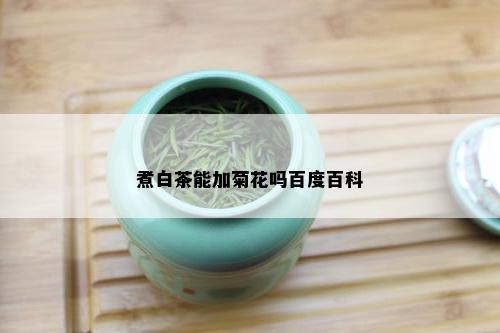 煮白茶能加菊花吗百度百科