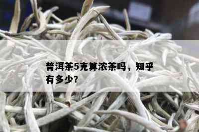 普洱茶5克算浓茶吗，知乎有多少？