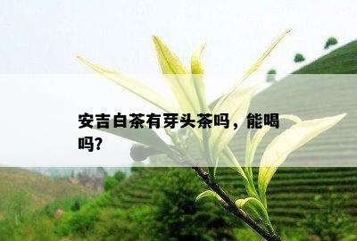 安吉白茶有芽头茶吗，能喝吗？