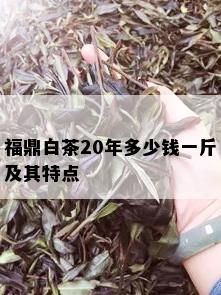 福鼎白茶20年多少钱一斤及其特点